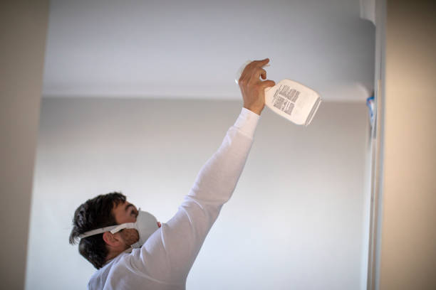 Best Commercial Mold Remediation in Orlovista, FL